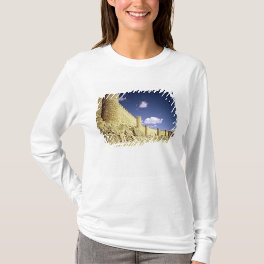 都市壁 Tシャツ (正面)