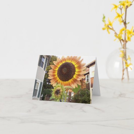 都市庭Notecard カード (黄色い花)