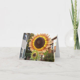 都市庭Notecard カード