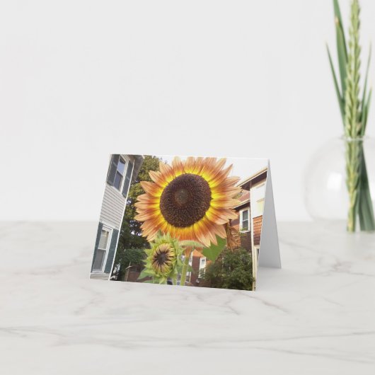 都市庭Notecard カード (正面)