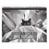 都市猫の白黒写真撮影 カレンダー (カバー)