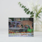 都市統合 ポストカード (スタンド正面)