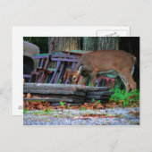 都市統合 ポストカード (正面/裏面)