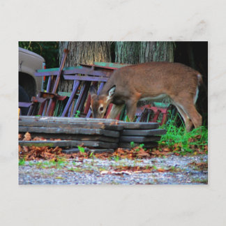 都市統合 ポストカード