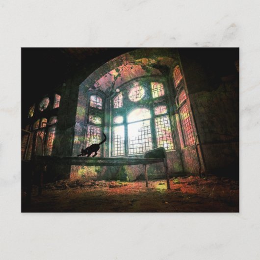 都市腐敗古ステンドグラス黒猫 ポストカード (正面)