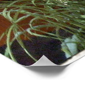 都市草 ポスター (角)