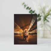 都市虎 ポストカード (スタンド正面)