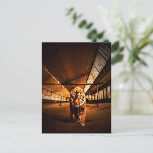 都市虎 ポストカード (スタンド正面)