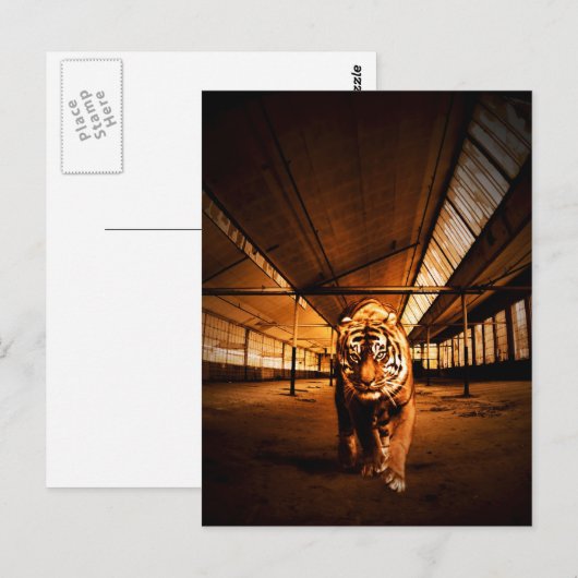 都市虎 ポストカード (正面/裏面)