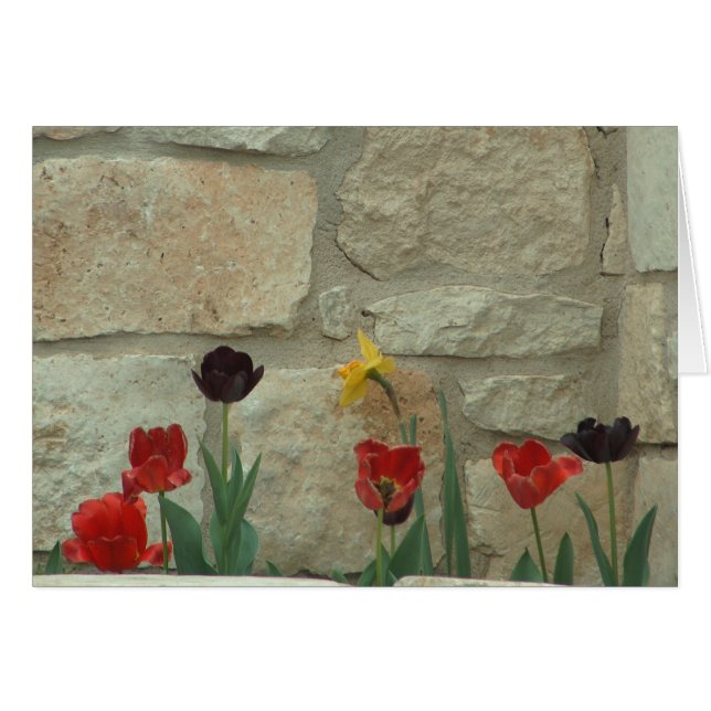 都市開花 (正面横)