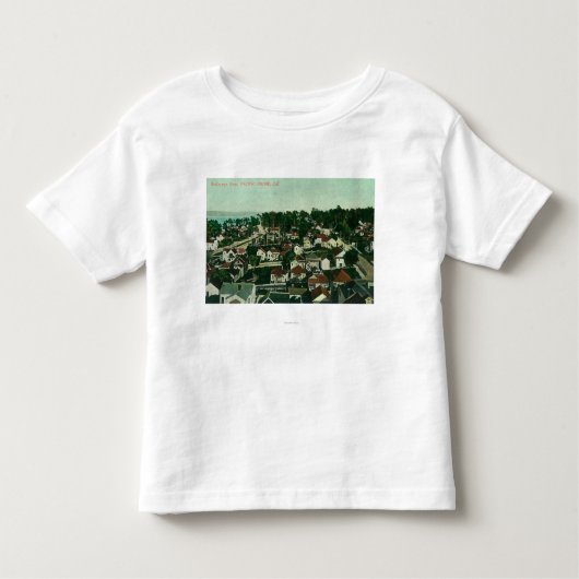 都市4の空中写真 トドラーTシャツ (正面)