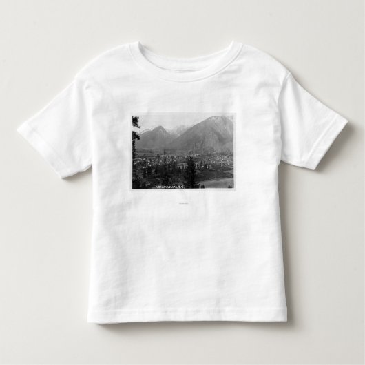 都市5の空中写真 トドラーTシャツ (正面)