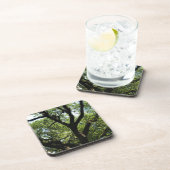 都心のサバンナのリブオーク コースター (右側)