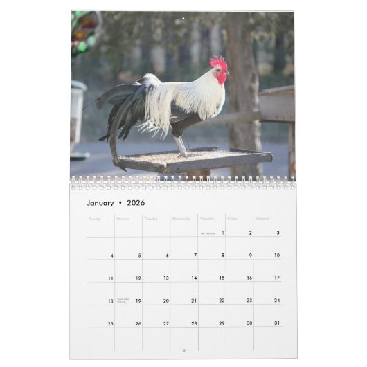 酉年 カレンダー (1月 2026)