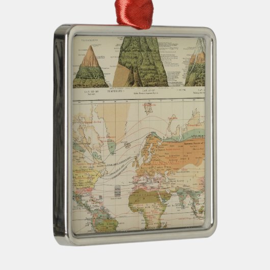 配分の植物 メタルオーナメント (右)