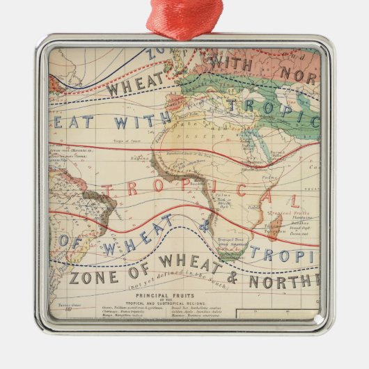 配分の植物 メタルオーナメント (正面)