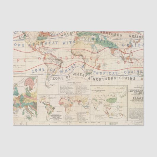 配分の植物 薄葉紙 (正面)