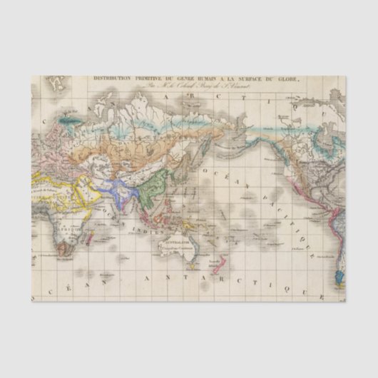 配分のprimitive du genreのhumain 薄葉紙 (正面)