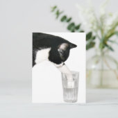 酒を飲みに来てくれ ポストカード (スタンド正面)