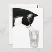 酒を飲みに来てくれ ポストカード (正面/裏面)