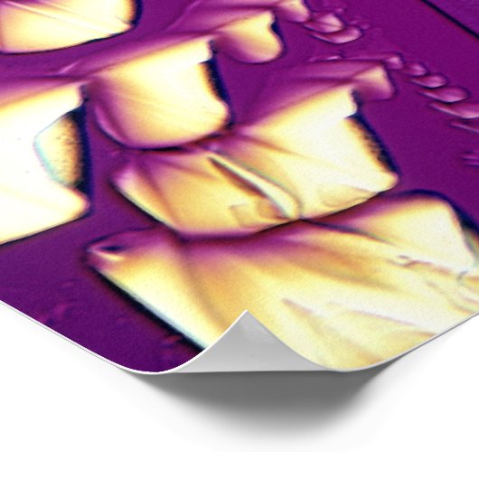 酒石酸結晶 ポスター (角)