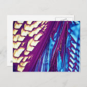 酒石酸結晶 ポストカード (正面/裏面)