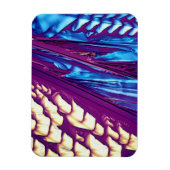 酒石酸結晶 マグネット (縦)