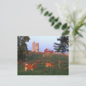 酪農場 ポストカード (スタンド正面)