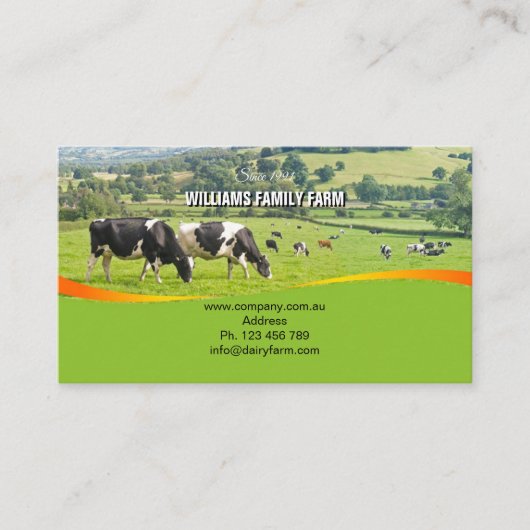 酪農場、牛、農業、名刺 名刺 (正面)