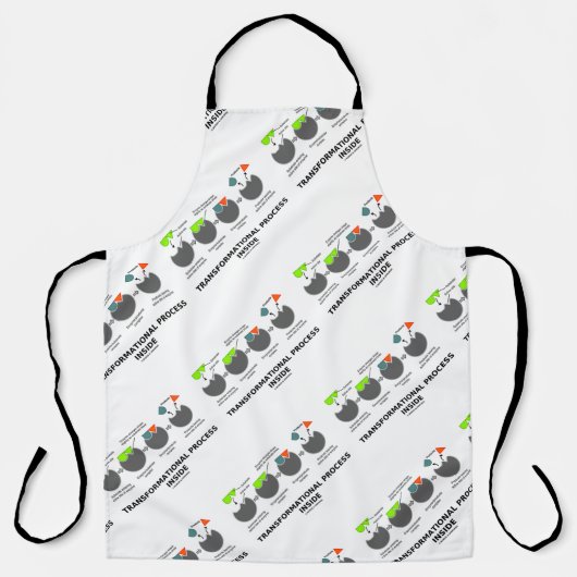 酵素基質内部の変形プロセス エプロン (正面)