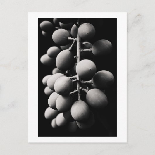 酸っぱい一日のブドウ ポストカード (正面)