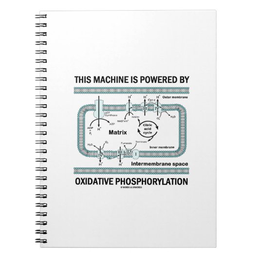 酸化的リン酸化を動力とする機械 ノートブック (正面)