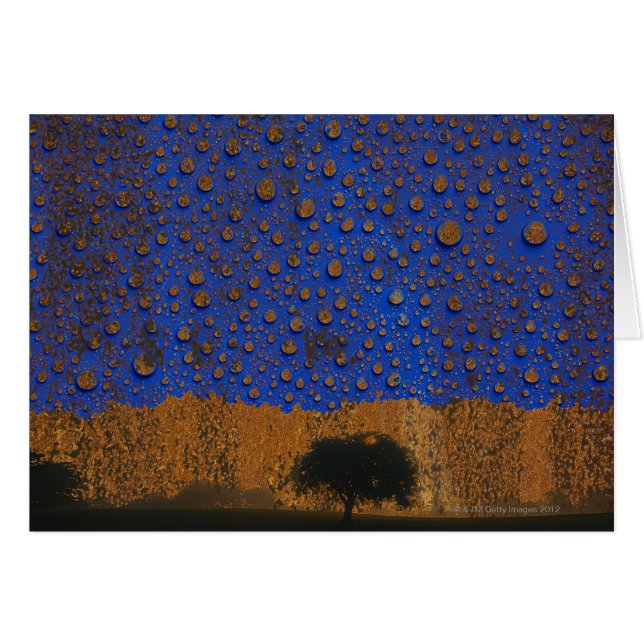 酸性雨及び環境汚染 (正面横)