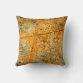 酸錆経路 クッション (裏面)