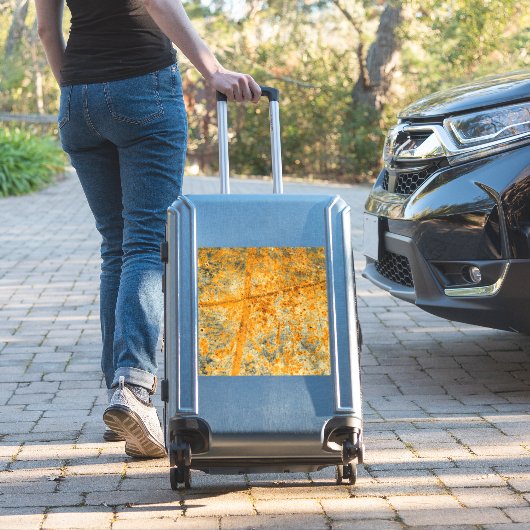 酸錆経路 シール (スーツケースインサイチュ)