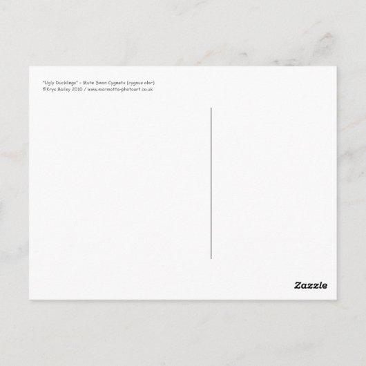 醜いアヒルのはがき ポストカード (裏面)