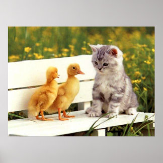 醜いアヒルのポスター ポスター