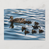 醜いアヒルの葉書 ポストカード (正面)