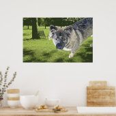 醜い変異 ポスター (キッチン)