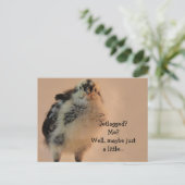 醜い女 ポストカード (スタンド正面)