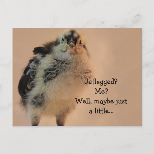 醜い女 ポストカード (正面)