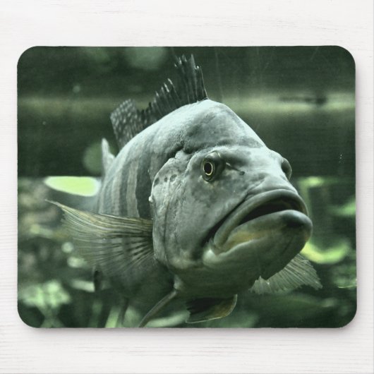 醜い水族館魚 マウスパッド (正面)