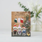 醜おもしろいいセーターを着たホリデーキャッツ インビテーションポストカード (スタンド正面)