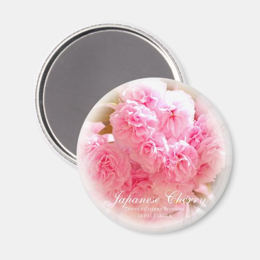 里桜 マグネット (正面/裏面)