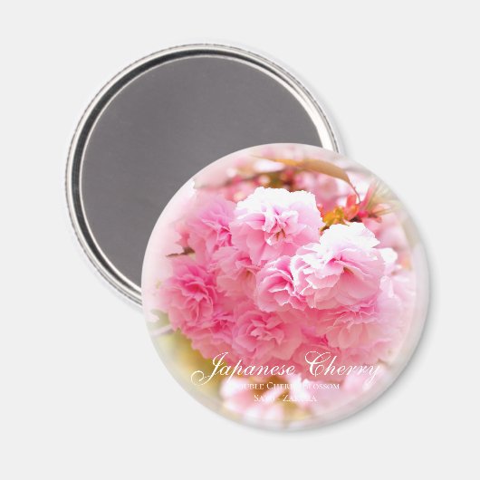 里桜 マグネット (正面/裏面)