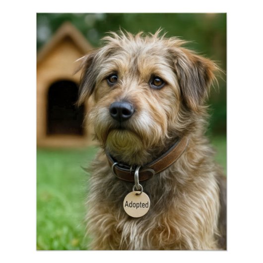 里親が決まったボサボサ犬と犬小屋 ポスター (正面)