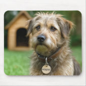 里親が決まったボサボサ犬と犬小屋 マウスパッド (正面)
