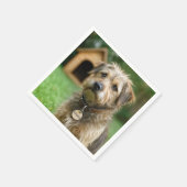 里親になったボサボサワンコと犬小屋 スタンダードカクテルナプキン (角)