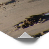 里親ビーチポスター ポスター (角)