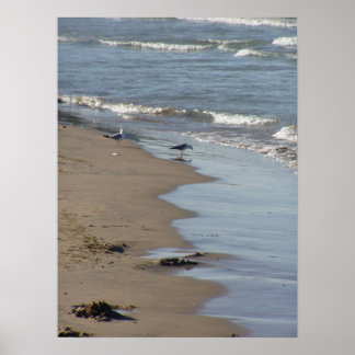 里親ビーチポスター ポスター